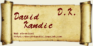 David Kandić vizit kartica